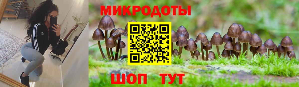 Псилоцибиновые грибы ЛСД  Галлюциногенные грибы мицелий  Вход с VPN  Алексеевка 